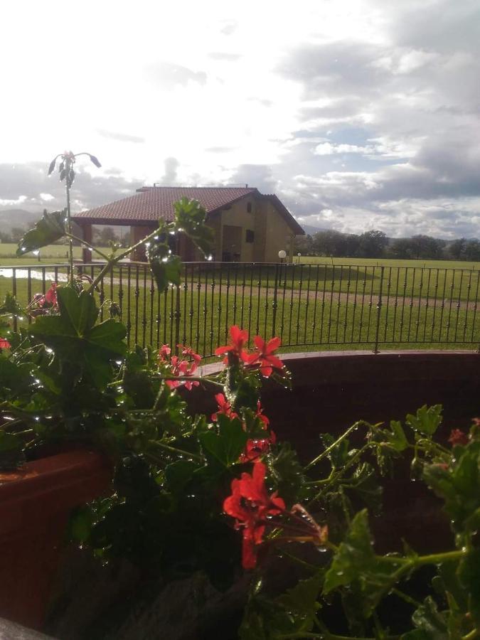 Agriturismo Oasi Del Pianettino Campagnatico Extérieur photo