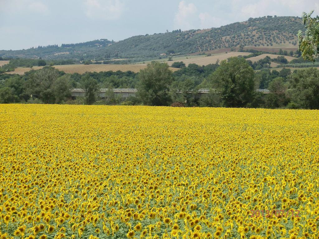 Agriturismo Oasi Del Pianettino Campagnatico Extérieur photo